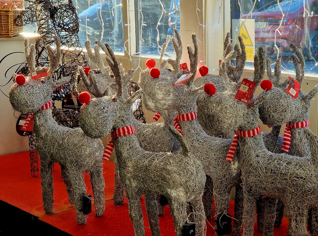 A Herd of Red Nosed Reindeer At Wolden's Garden Centre, Cr… Flickr