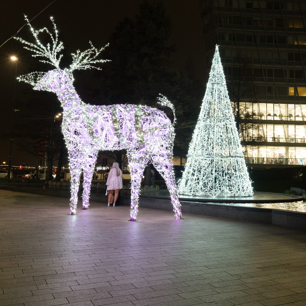 Liverpool Christmas Lights (49 of 86) Liverpool Christmas … Flickr