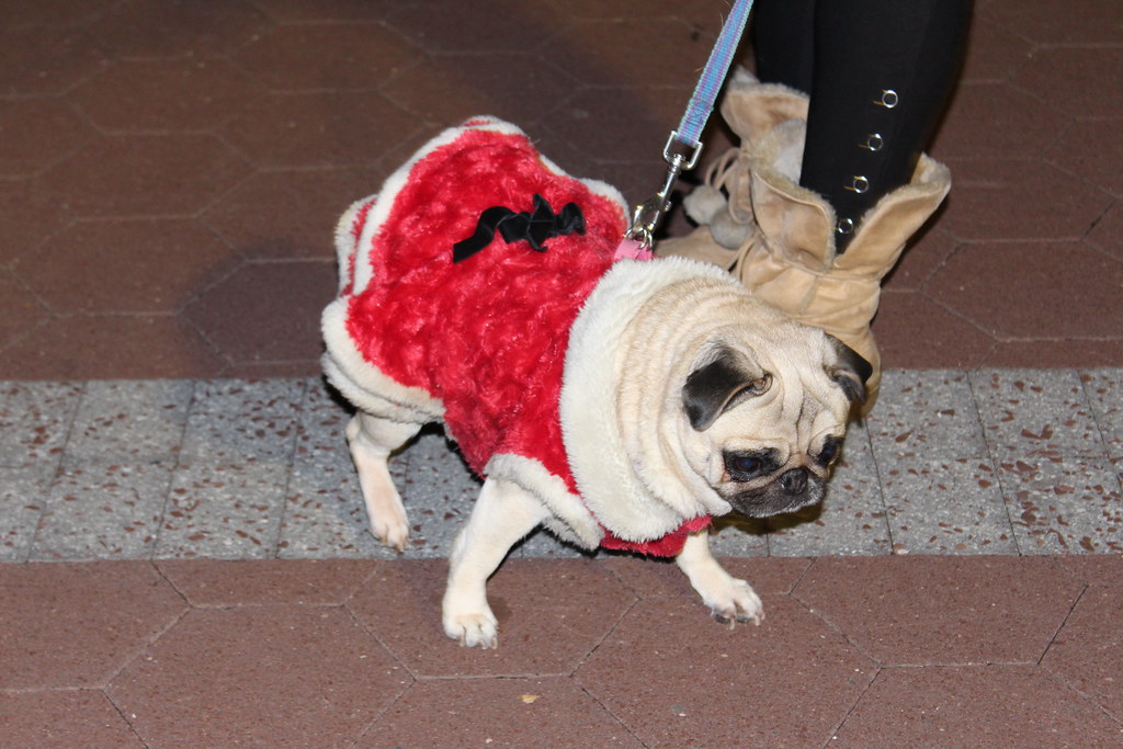 IMG_2673 Guttenberg NJ Flickr