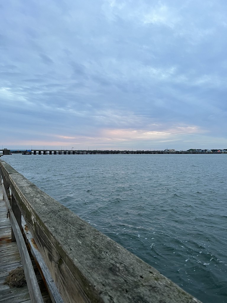 Skimmer Island Kate Riley Flickr