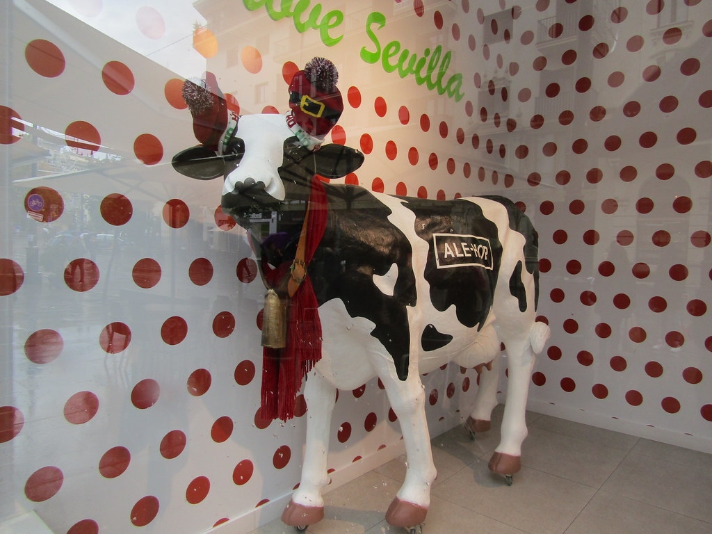 AleHop cow Seville, Spain day one of a four day break… Flickr