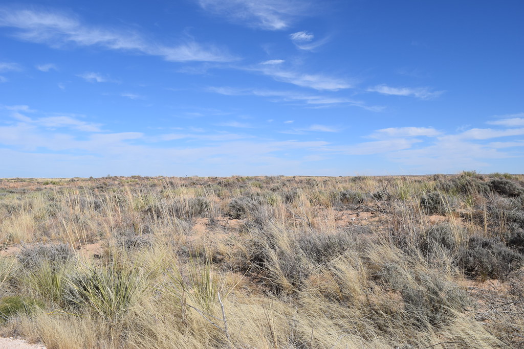 Mescalero Sands East Central New Mexico Calvin Faunus Flickr
