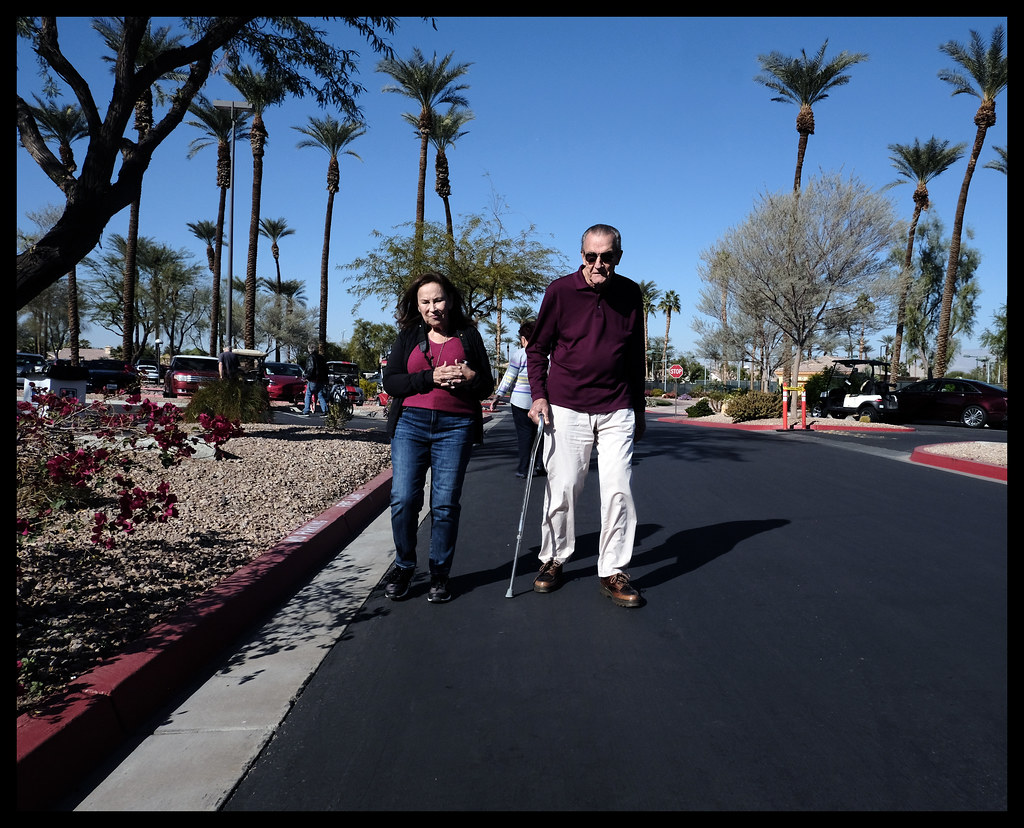 SUN CITY PALM DESERT 121022 18 Larry Mendelsohn Flickr