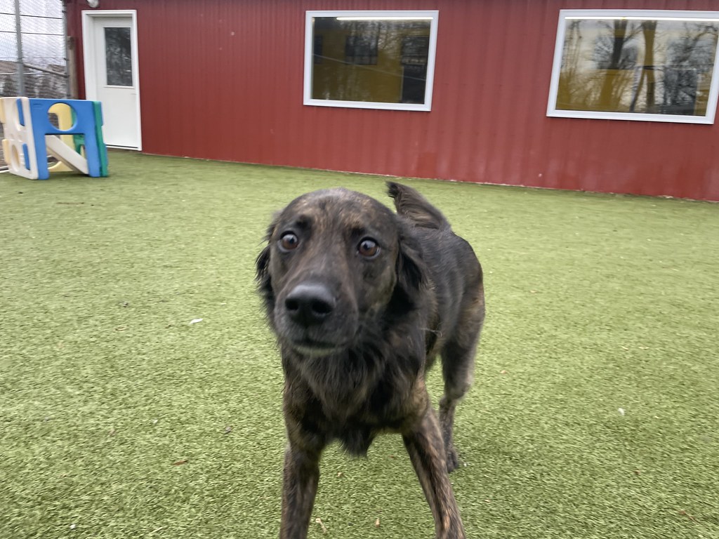 Greenlin West 12/12/2022 Greenlin West Flickr