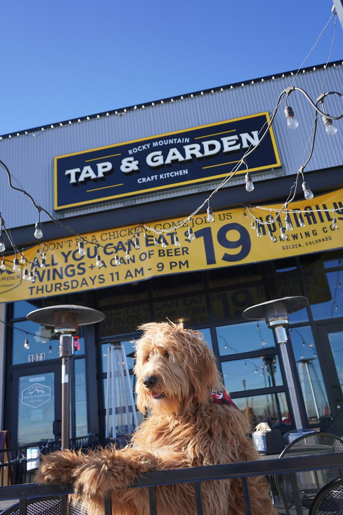 DSC00849 Rocky Mountain Tap and Garden Flickr