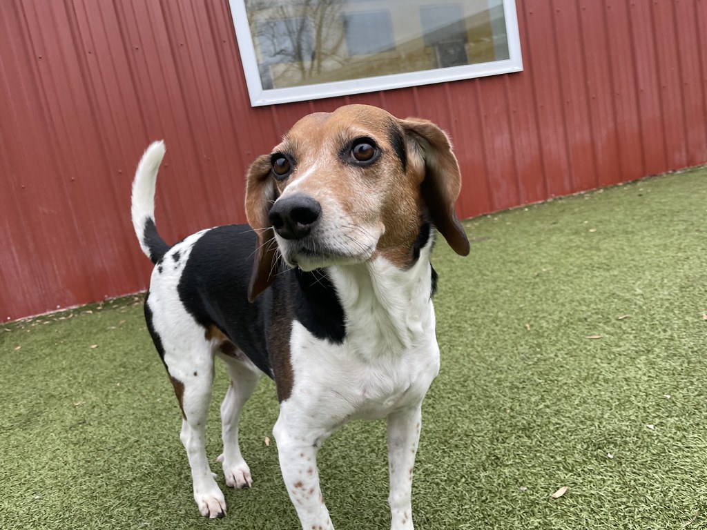 Greenlin West 12/12/2022 Greenlin West Flickr