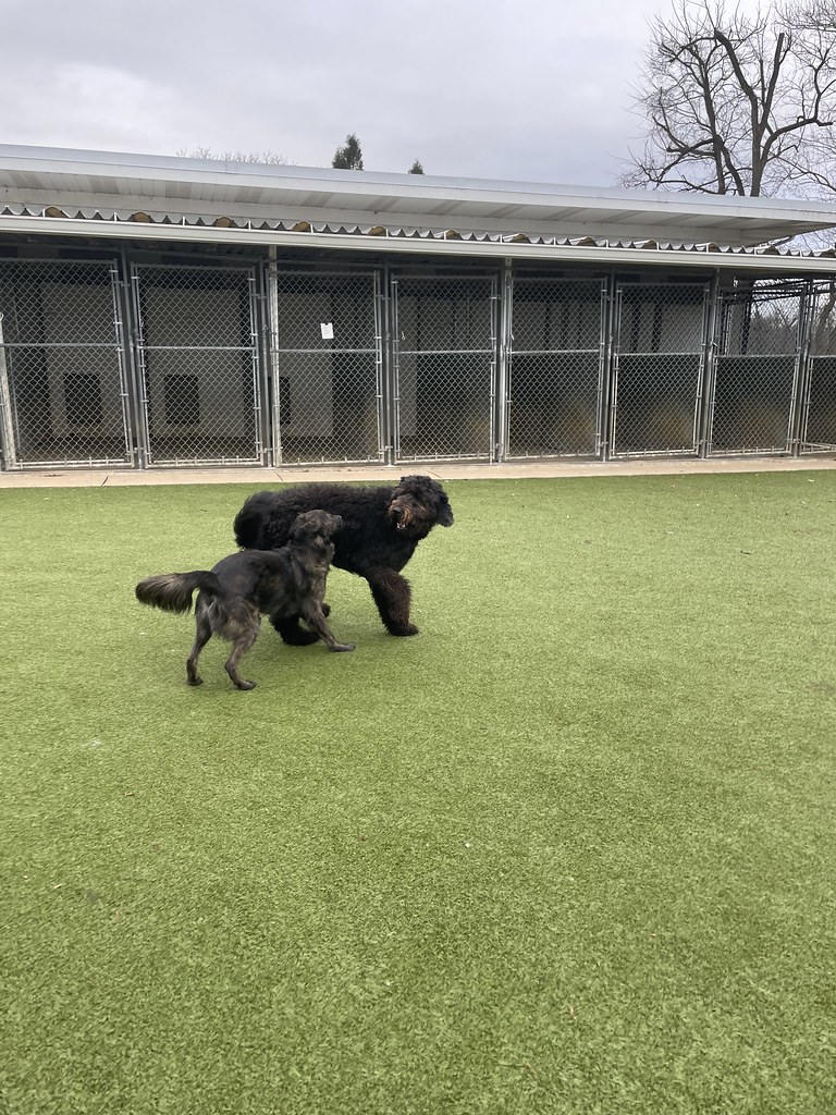 Greenlin West 12/12/2022 Greenlin West Flickr