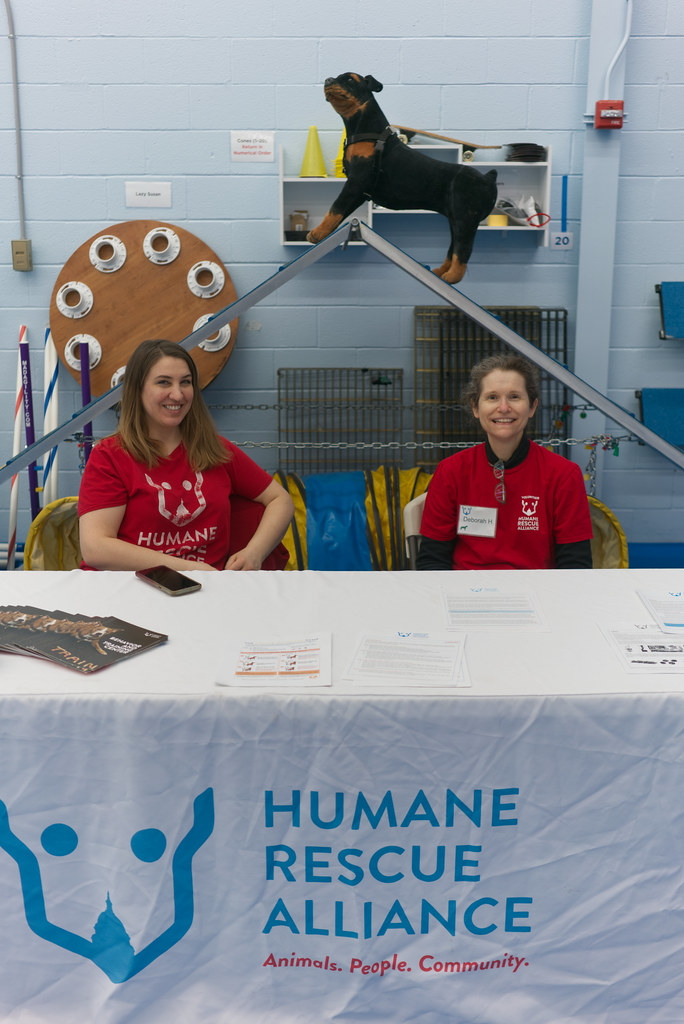Photo by Jake Kim7 Humane Rescue Alliance Flickr