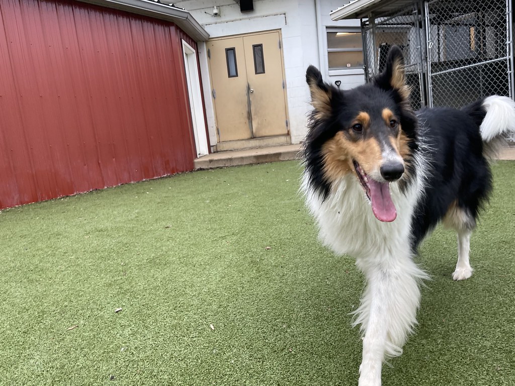 Greenlin West 12/12/2022 Greenlin West Flickr