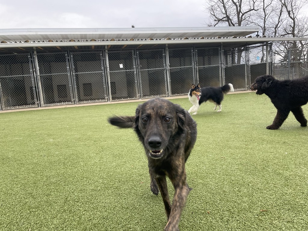 Greenlin West 12/12/2022 Greenlin West Flickr