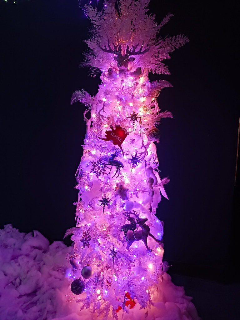 Illuminated Christmas Tree. My wife and I visited Ripley's… Flickr