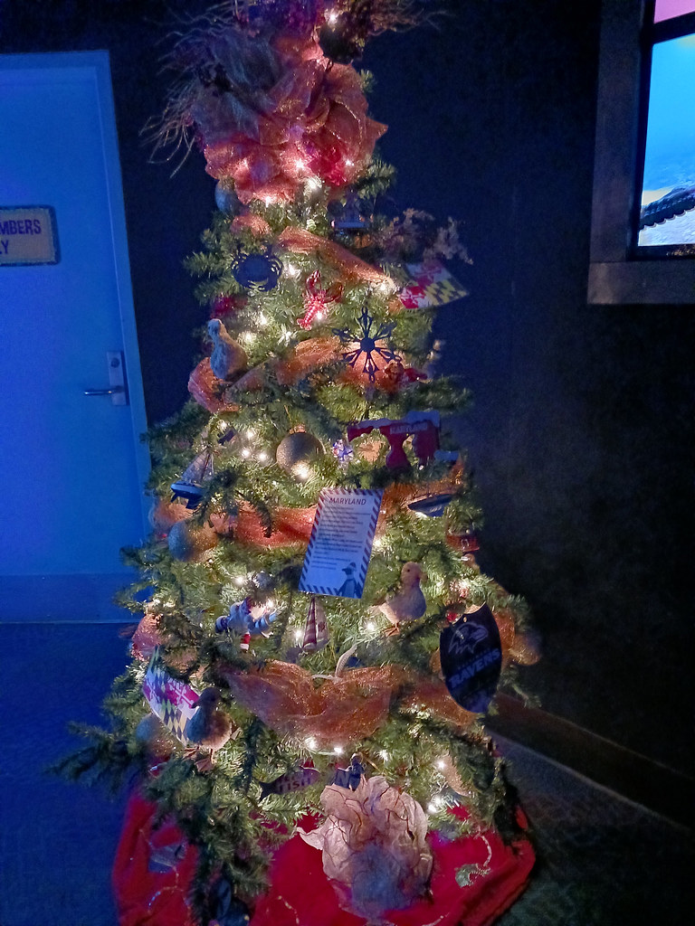 The Maryland Christmas Tree. On Saturday my wife and I vis… Flickr