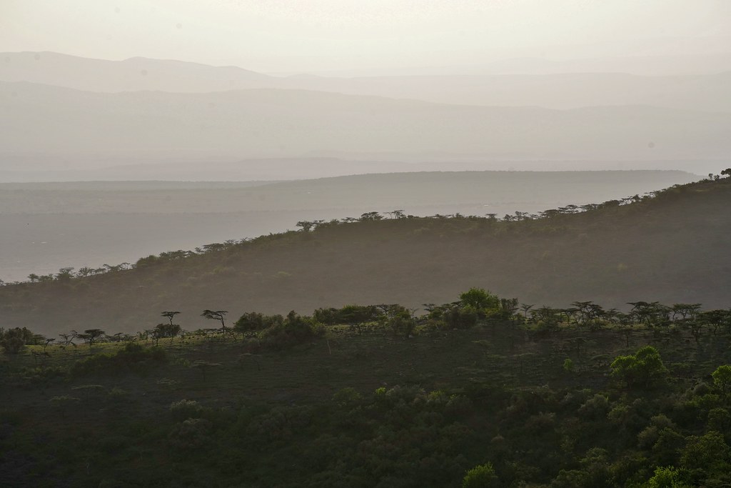 Champagne Ridge, Kenya a photo on Flickriver