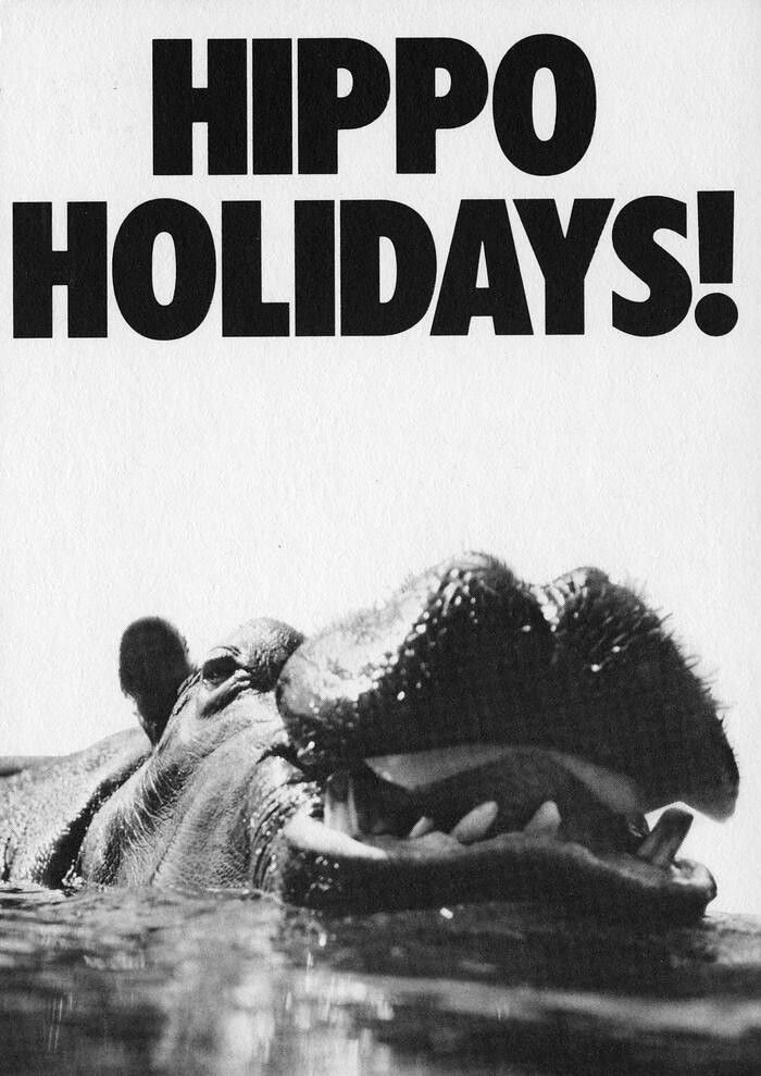 Woodland Park Zoo postcard, circa 2000s Item 196486, Woodl… Flickr