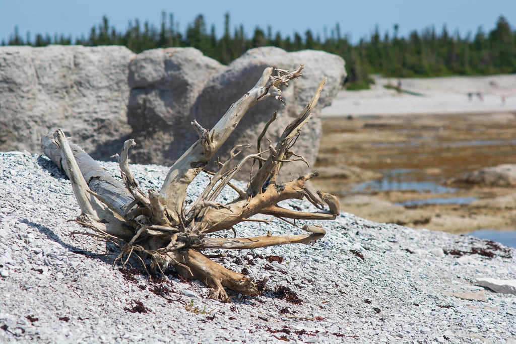 Ile Quarry, nature morte François Giroux Flickr