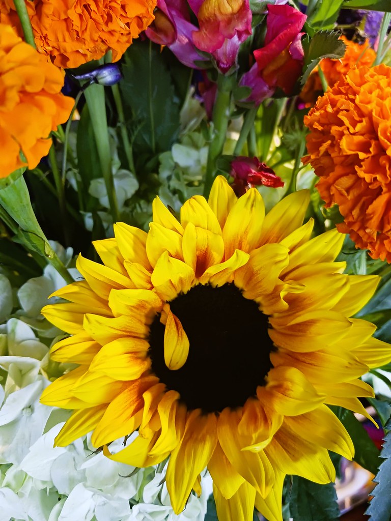 Wilton Manors, FL Drynk Bar Jeff Rozwadowski Flickr