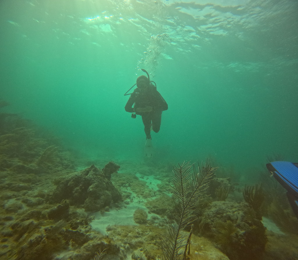Scuba Dive Key Largo (24) DCIM\100GOPRO\GOPR1250.JPG Flickr