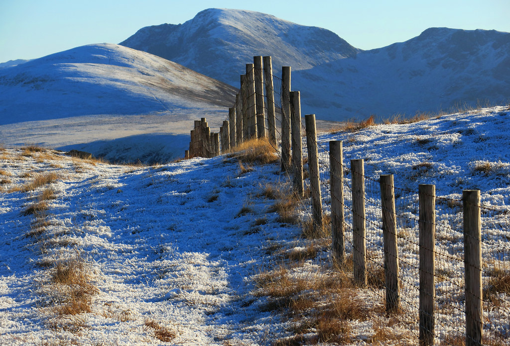 Gavel Fell AnnieB2010 Flickr