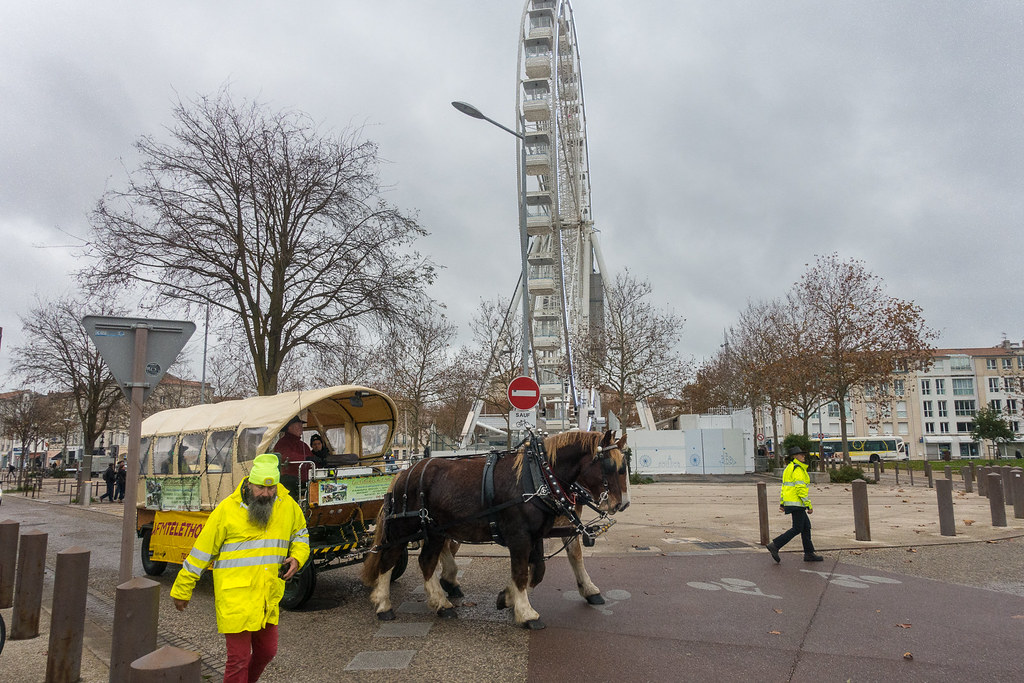 RX100B5943 La Rochelle Place de la Motte Rouge Daniel Guérin