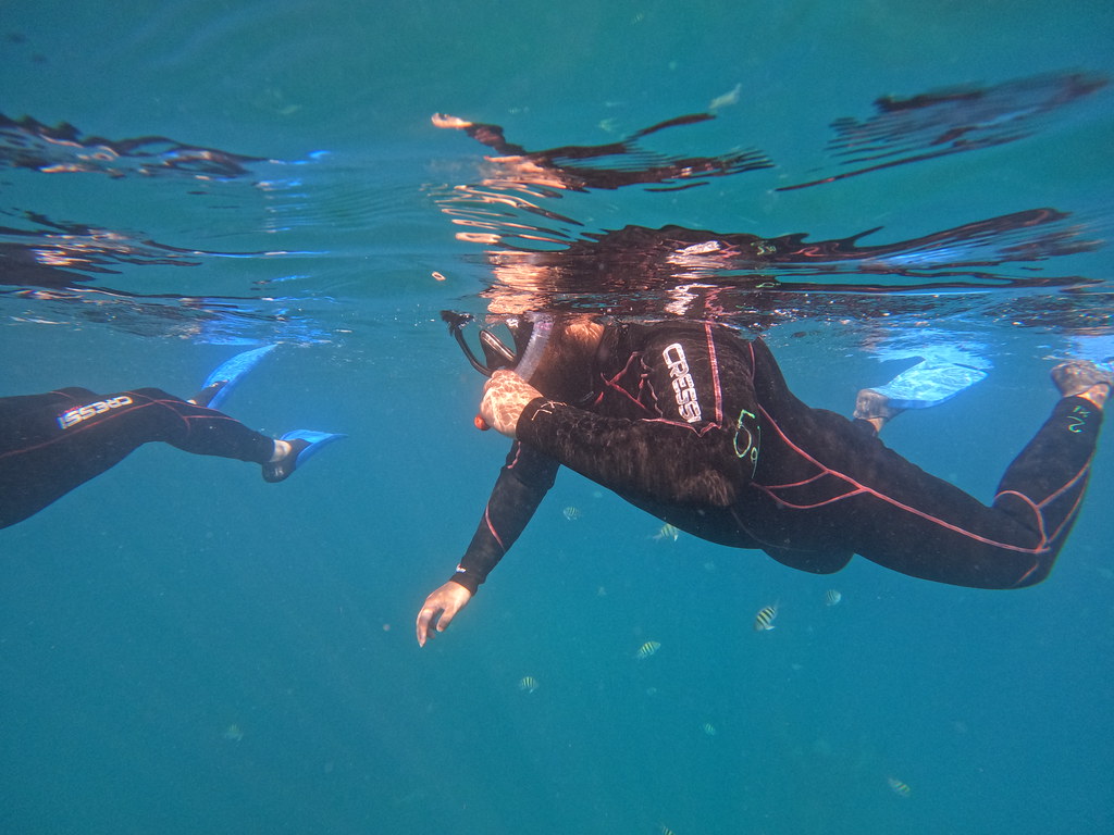 Snorkel Key Largo (57) DCIM\100GOPRO\GOPR0980.JPG Flickr