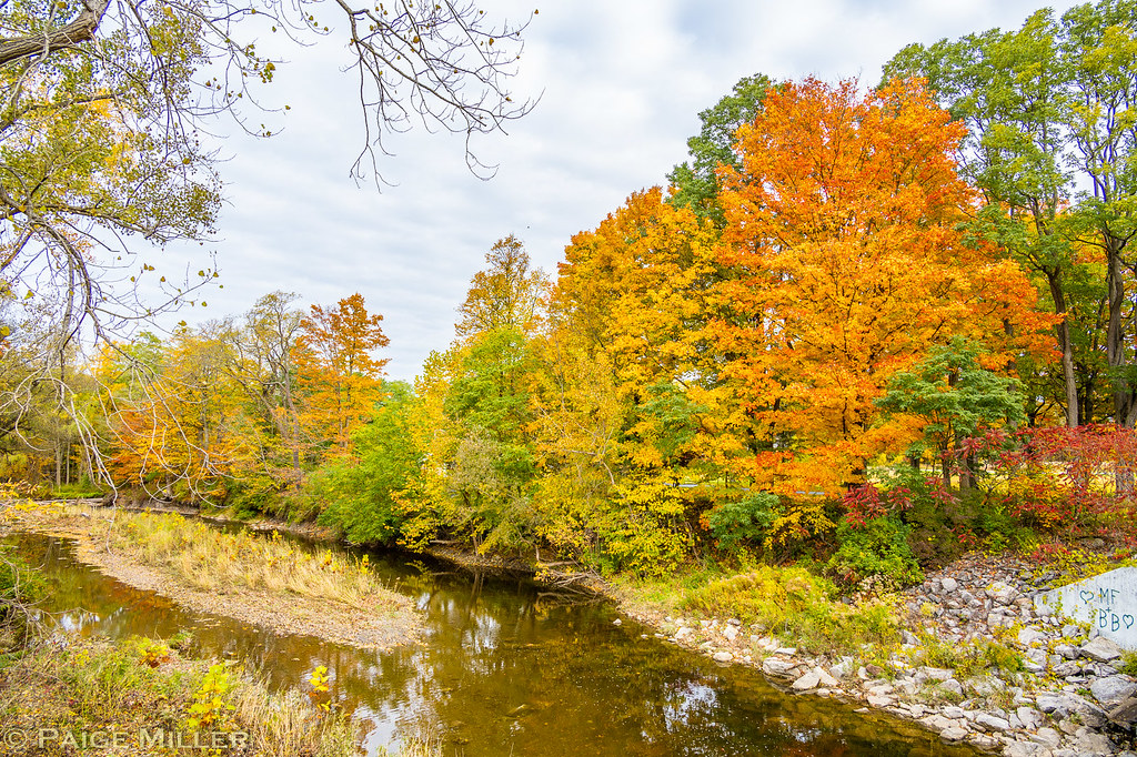 Marilla, NY Cayuga Creek Paige Miller Flickr