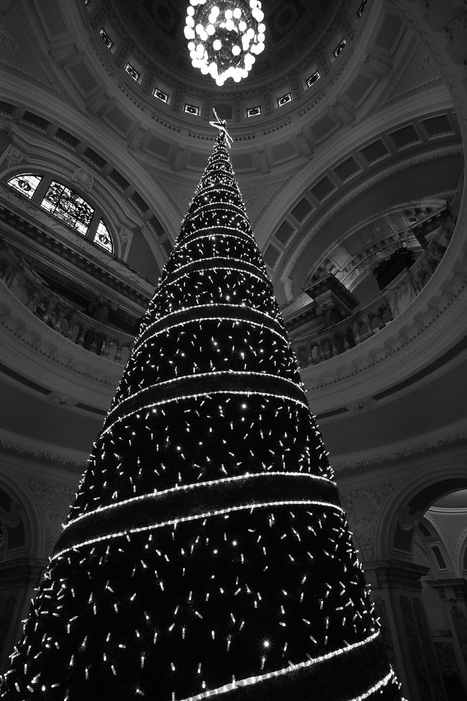 Christmas tree in Belfast City Hall Ian Barrons Flickr