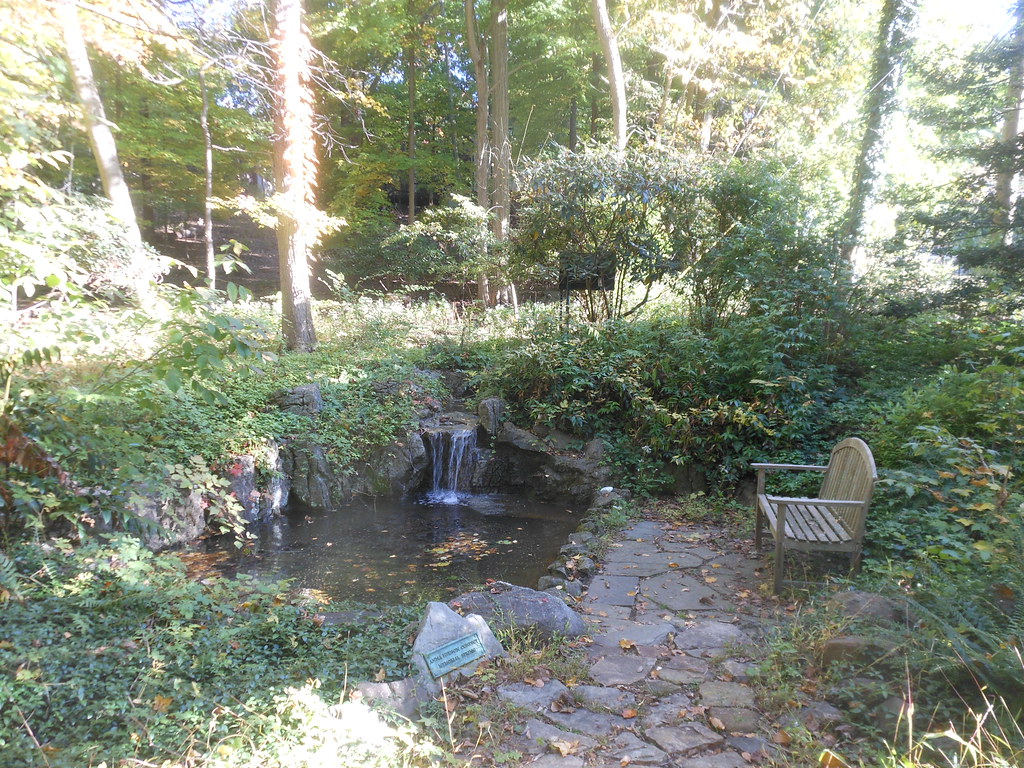 Rock Pool, The Glen Nature Preserve, Essex Fells, NJ Flickr