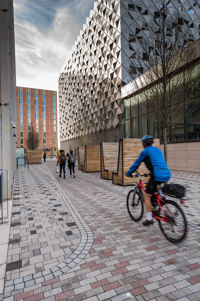 Freeman`s Common Flickr