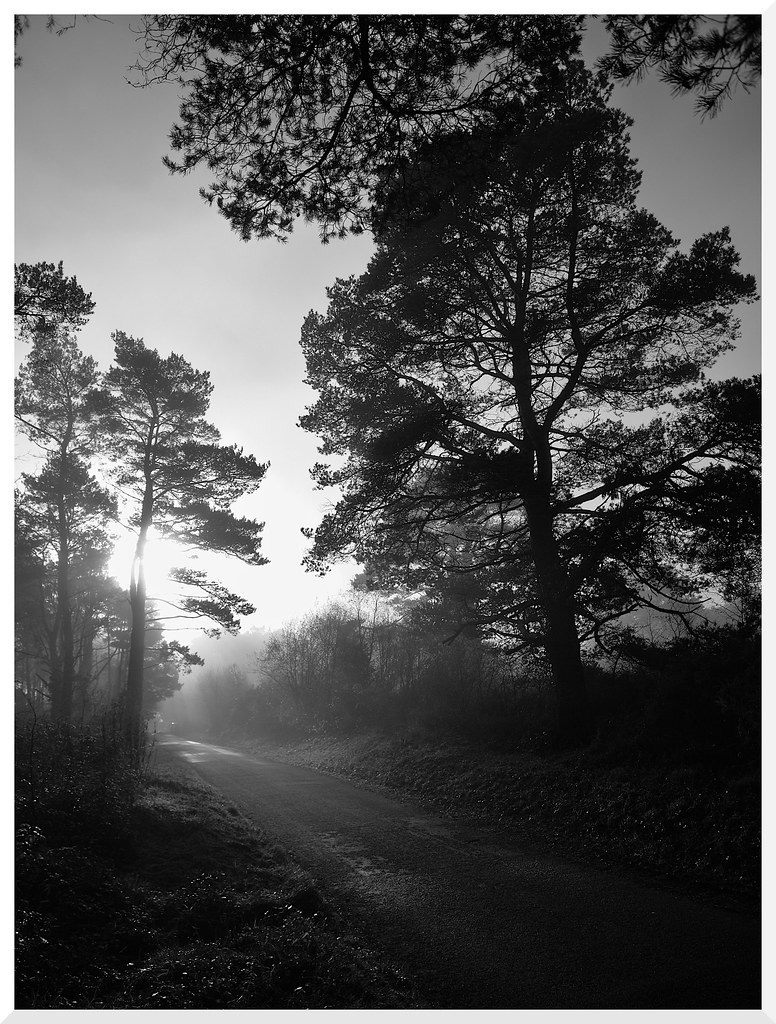 111222 Woodbury Common Developed using darktable 4.0.0 Flickr