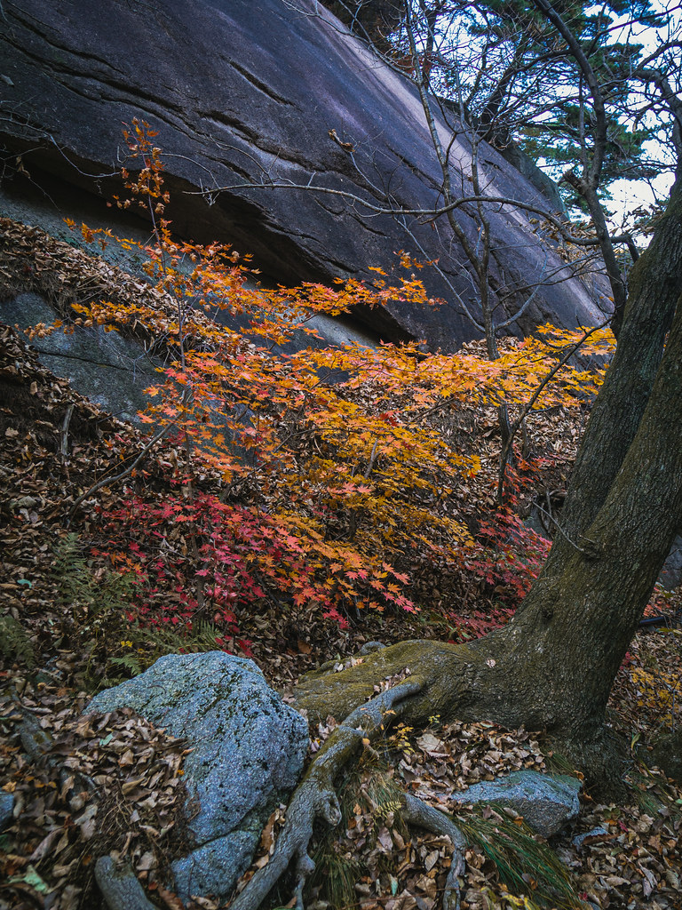 PA250598.jpg Olympus digital camera Alexander Prokudin Flickr