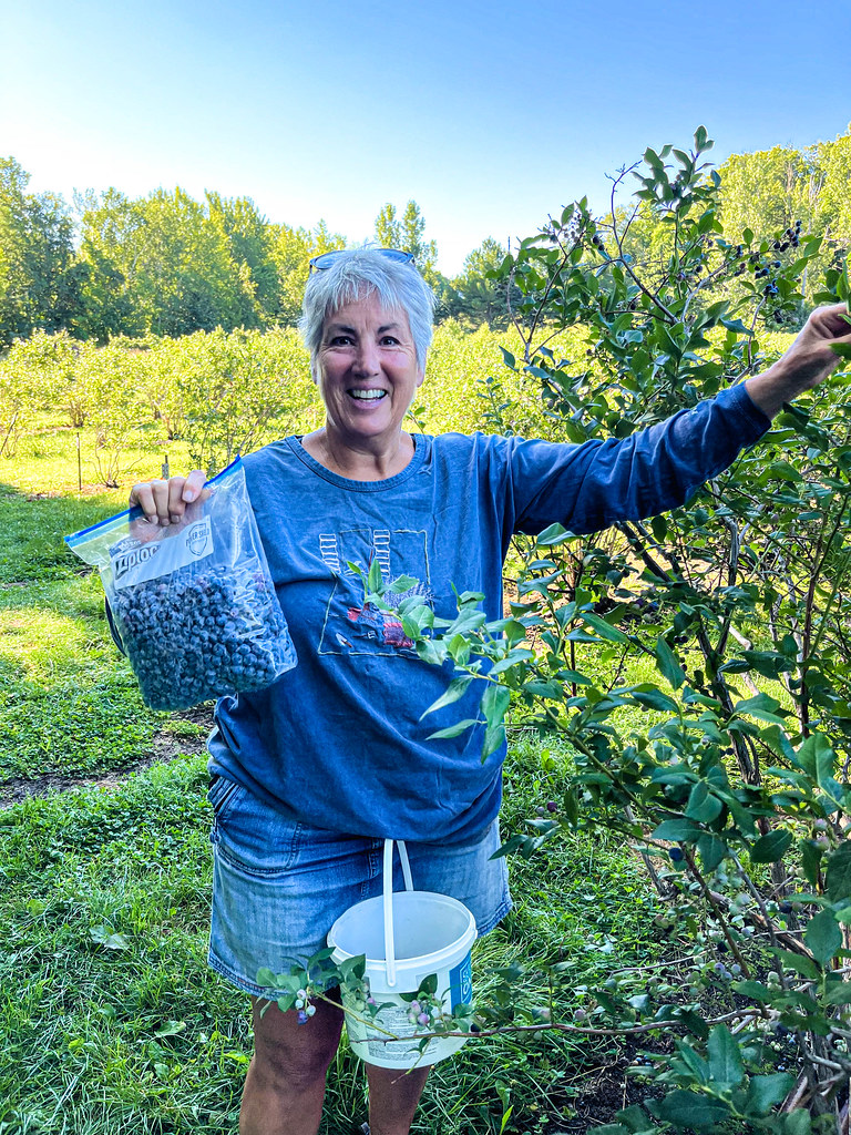 AbbyFR89 Goodwill Northern Michigan Flickr