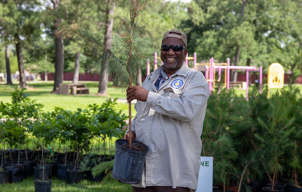 Trees for Houston Tree Giveaway Flickr