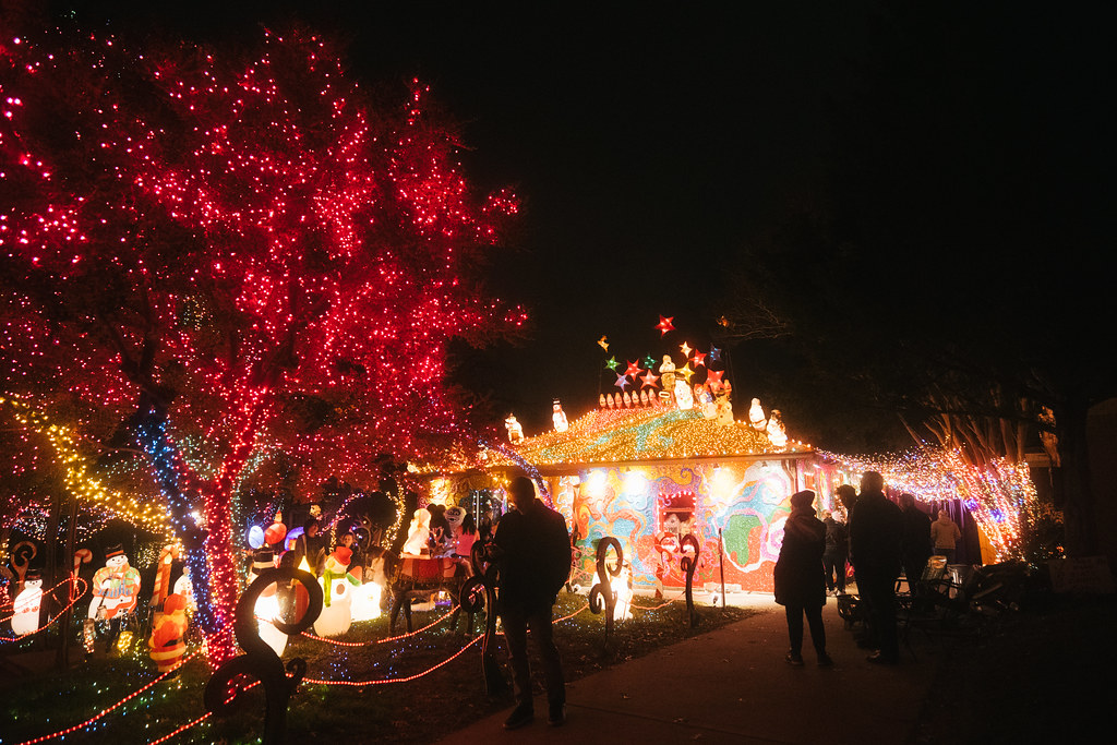 Electric Lizzyland Zack