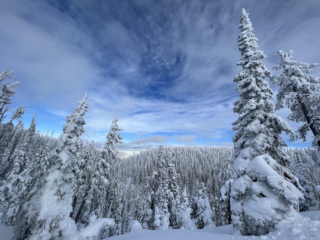 West Yellowstone January 2022 J F Pruett Flickr