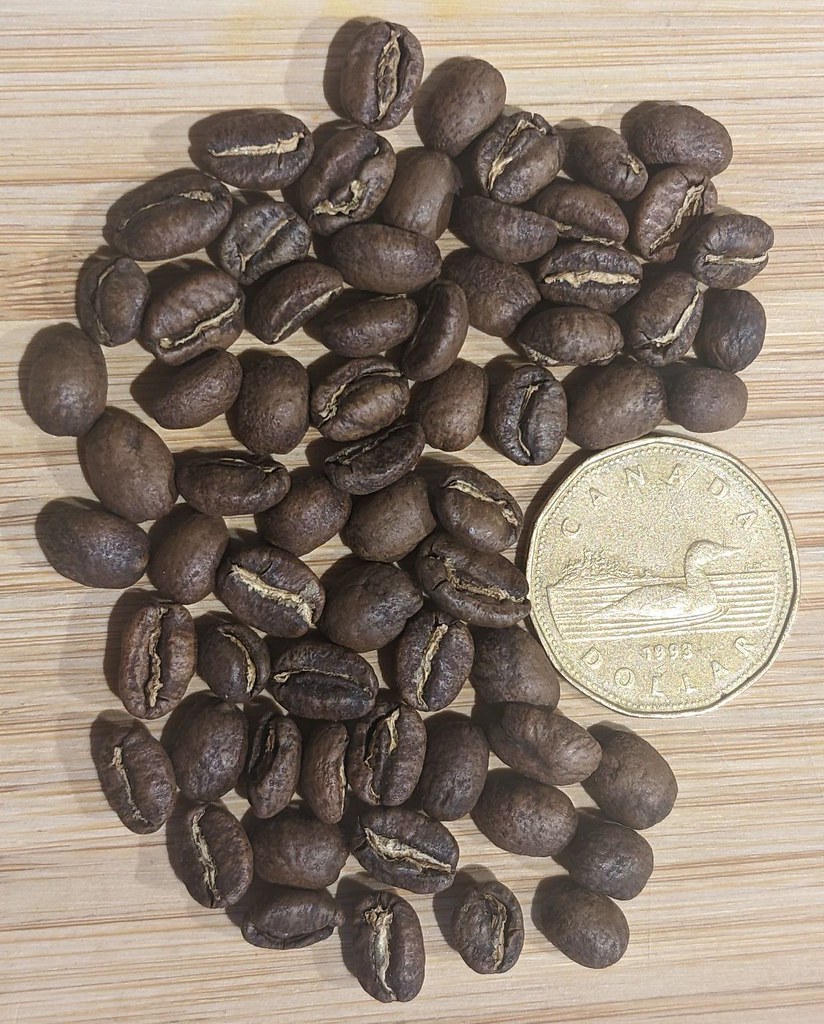 Ethiopian Landrace Variety Ethiopian Landrace Process Wa… Flickr