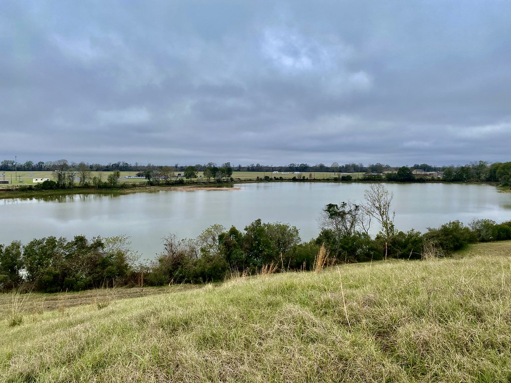 W. Irene Rd. impoundments Habitat shot for eBird list Flickr