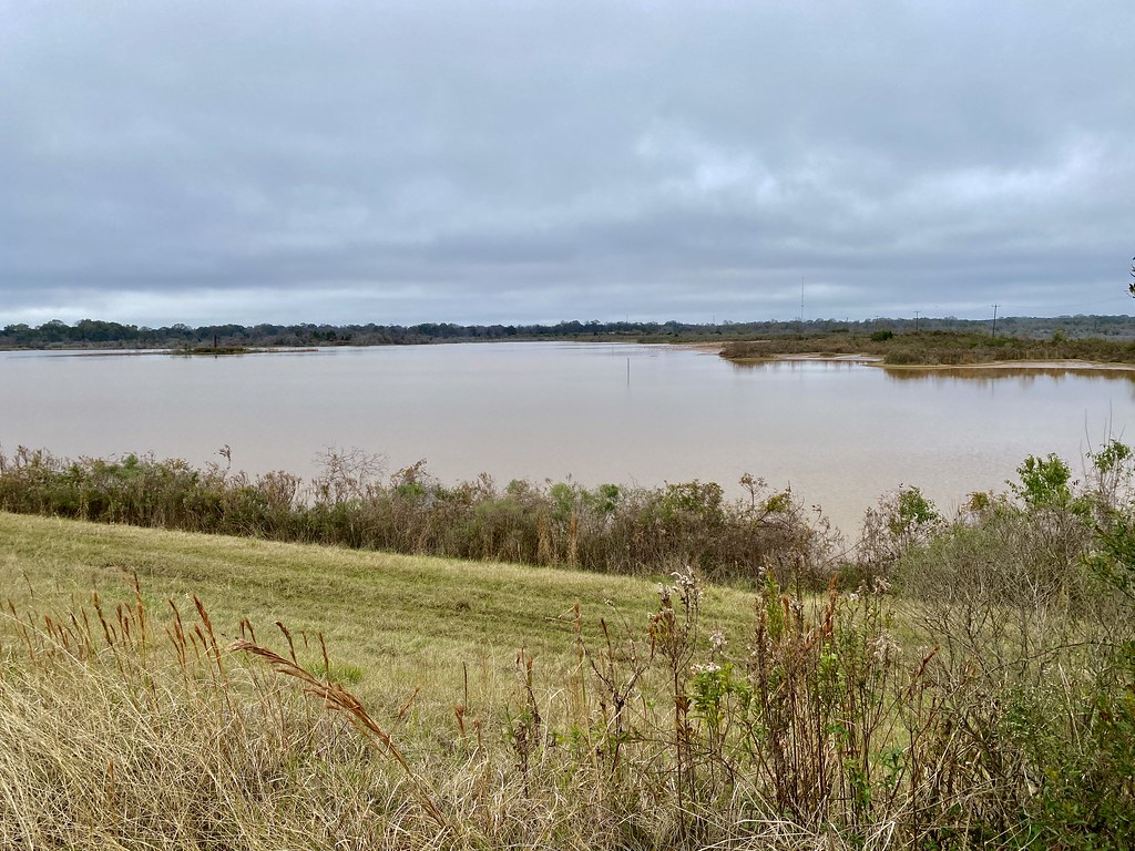 W. Irene Rd. impoundments Habitat shot for eBird list Flickr