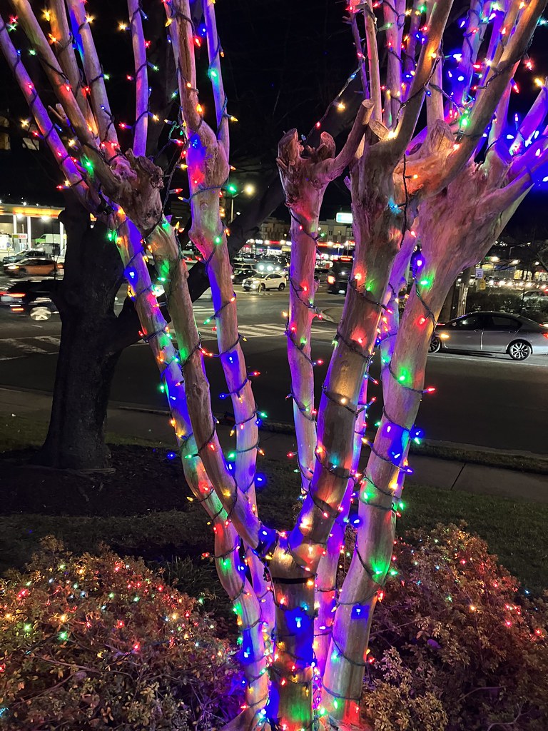 Alexandria, VA Dec. 21, 2022. Christmas lights... Peter Musolino