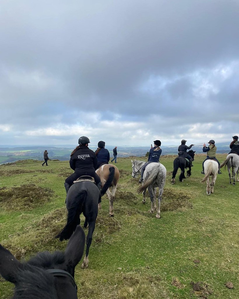 C3897A253AB849B9A78B6B87E2E0D76F dartmoor hack🌿 Orlagh Ferron