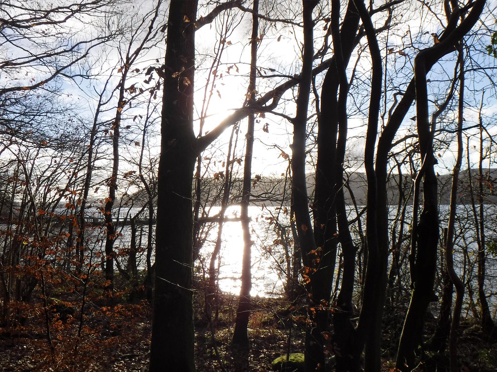 Windermere Brockhole, Cumbria BeefyBrian Flickr