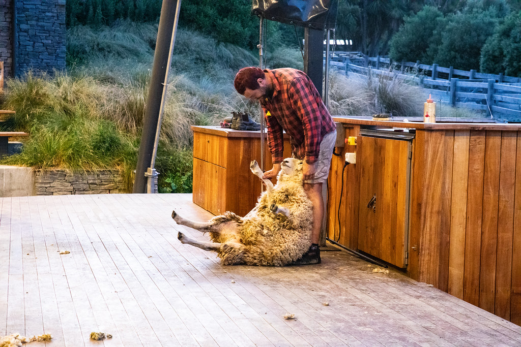 20221215_Queenstown_184 Short preXmas holiday in Queensto… Flickr