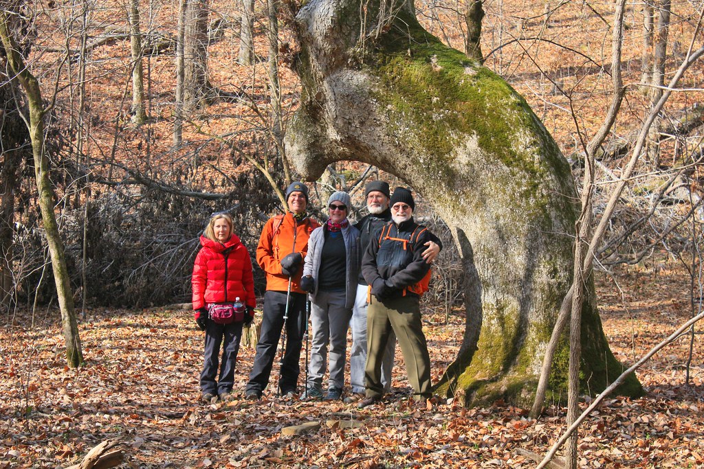 Lee Creek Reservoir Ozark Society Hike 12212022 Flickr