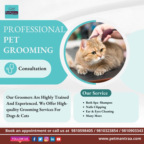Pet Grooming Petmantraa provides the best and most afforda… Flickr