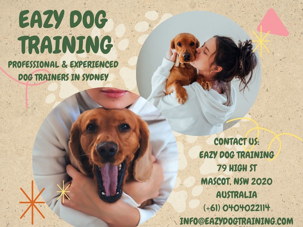 Aggressive dog training sydney Looking for Dog Behaviour T… Flickr