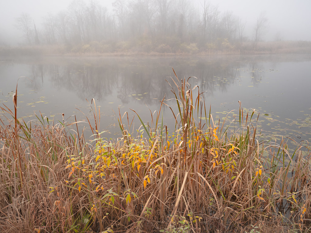 Beaver Pond Lenox MA Bill Flickr