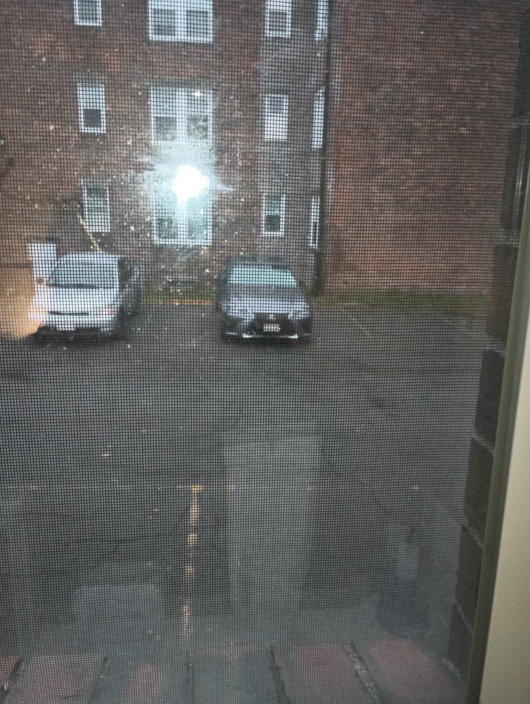 135 Townsend Street Unit B14 Dorchester MA Bayo Elizabeth Cary Flickr