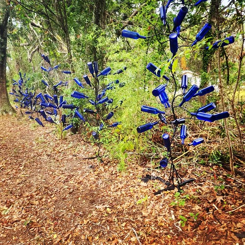 Tradition Gullah BlueBottle Tree VISIT Flickr