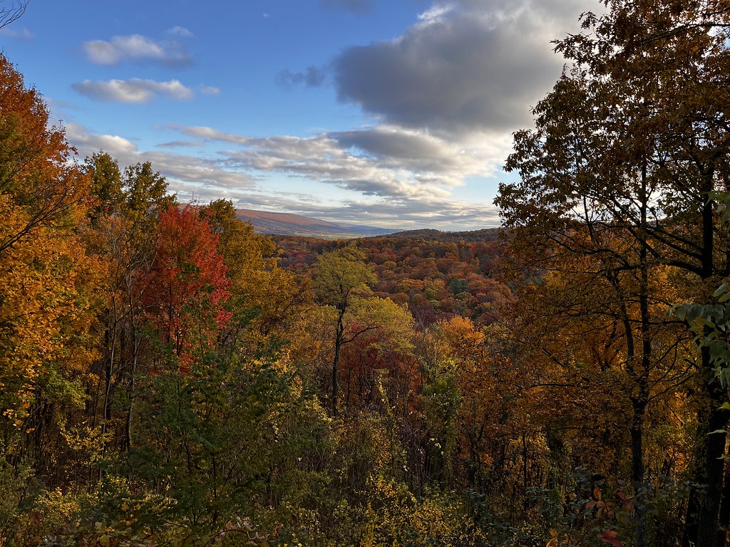 Fall colors in the Tuscarora State Forest, Pennsylvania Flickr