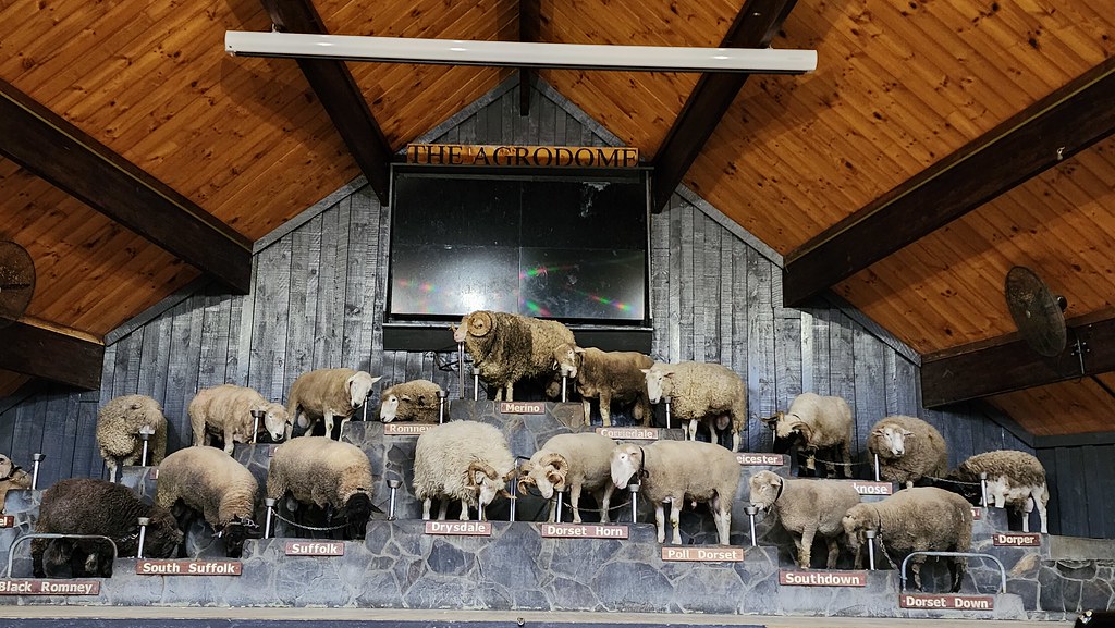 2022Dec9_NZ_D6_Rotorua_Agrodome (Farming Edutainment) Flickr