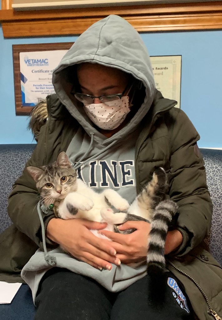 BairmLuna Road Animal Clinic Flickr